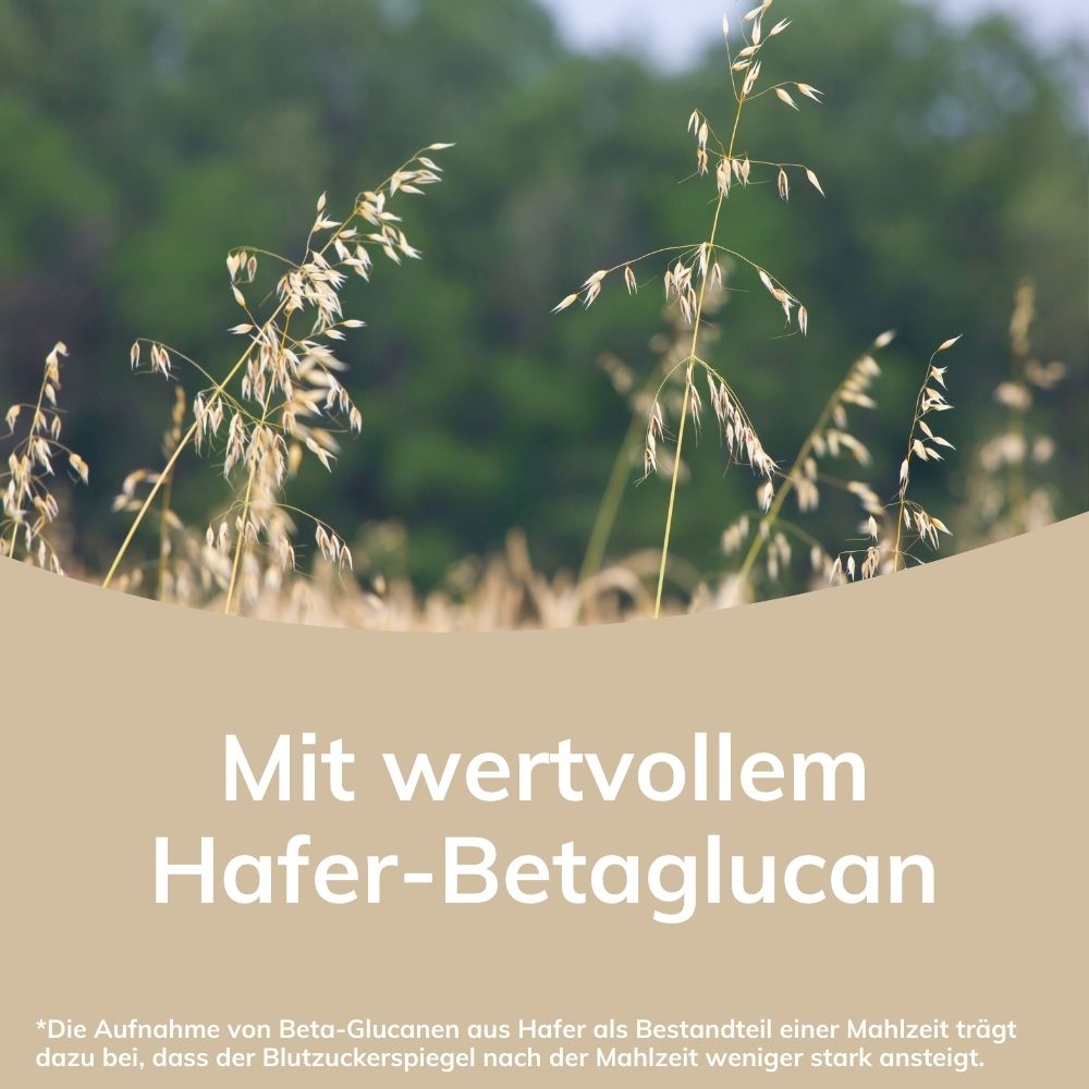 Laibmann® Haferkur – Erdbeer, Zimt oder Apfel – Einzelpackung