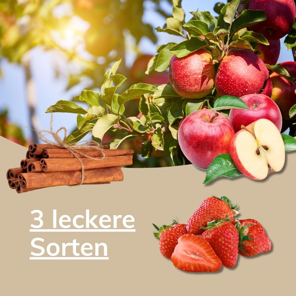 Laibmann® Haferkur – Erdbeer, Zimt oder Apfel – Einzelpackung