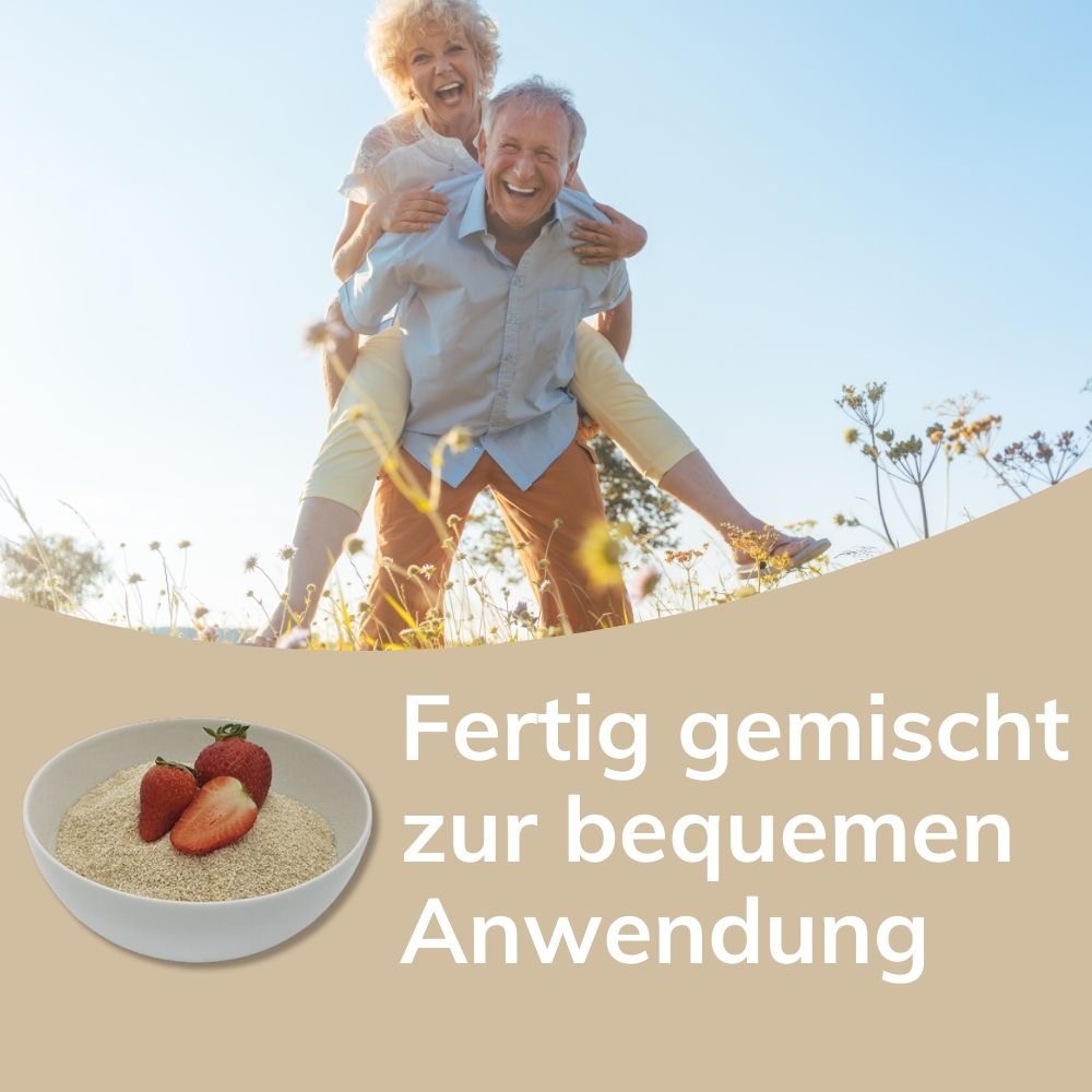 Laibmann® Haferkur – Erdbeer, Zimt oder Apfel – Einzelpackung