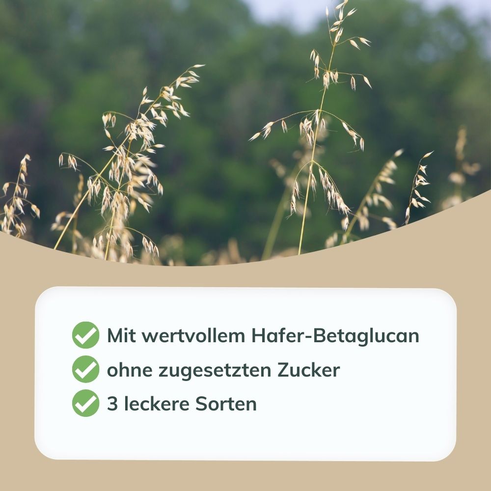Laibmann® Haferkur – Erdbeer, Zimt oder Apfel – Einzelpackung