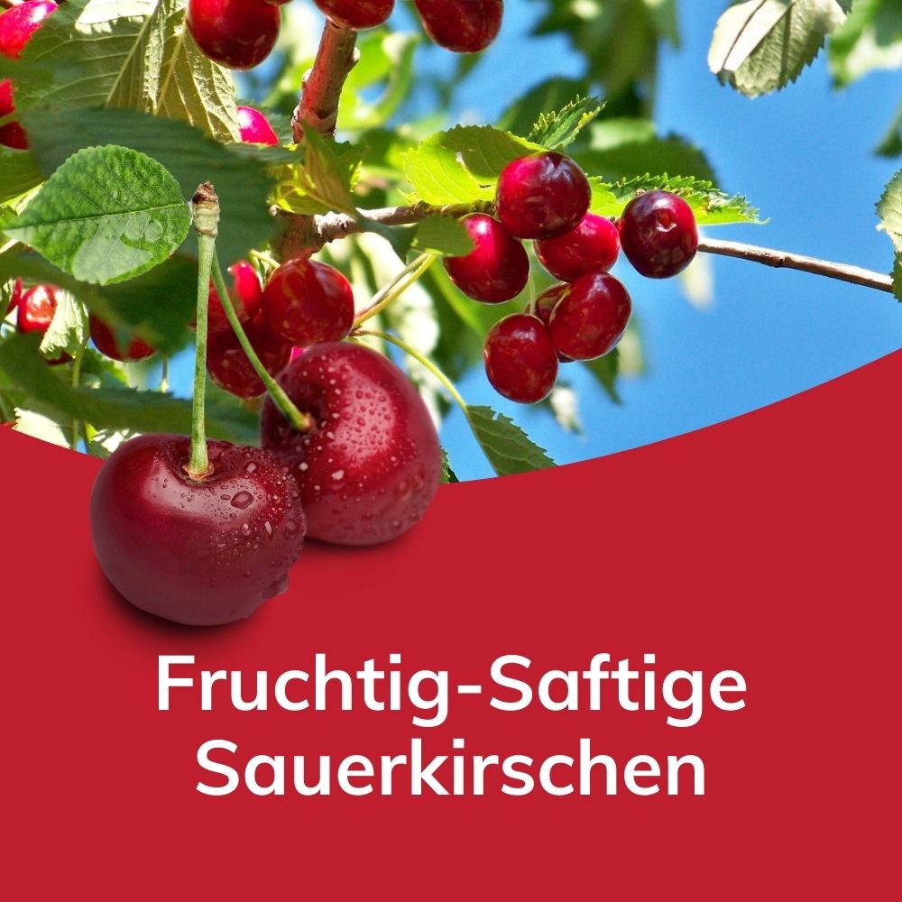 Zuckerarme Fruchtaufstriche | Spar-Paket